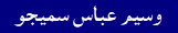 Waseem Abbas Samejo