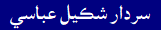 Sardar Shakeel Abbasi