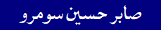 Sabir Hussain Soomro