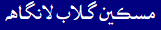 Miskeen Gulab 