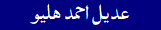 Adeel Ahmed Hulio
